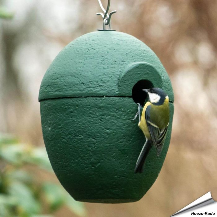 Houtbeton nestkast Malaga | hangend | groen | Vogelhuisje.com