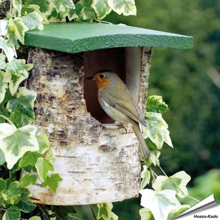 Berkenhouten nestkast (Halfholen)