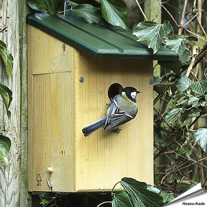 Observatienestkast voor tuinvogels ✔️ 34mm invliegopening voor o.a. mussen ✔️ Zijkant met venster van plexiglas ✔️ Aanbevolen van Vogelbescherming NL ✔️ Koop bij Vogelhuisje.com