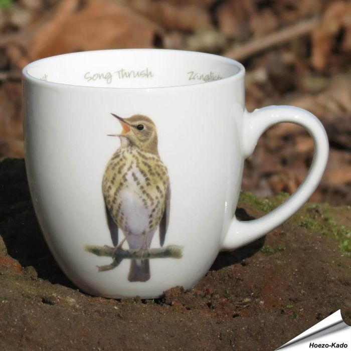 Mok - Zanglijster 'Elwin van der Kolk'