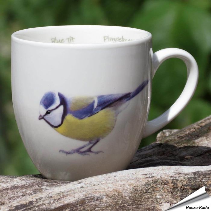 Mok - Pimpelmees 'Elwin van der Kolk'