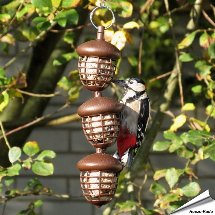 Vetbol-Houder Acorn (3 vetbollen) | Voor wilde vogels | Vogelhuisje.com