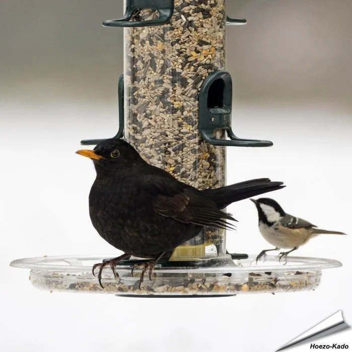 BigEasy™ opvangschaal (278mm)