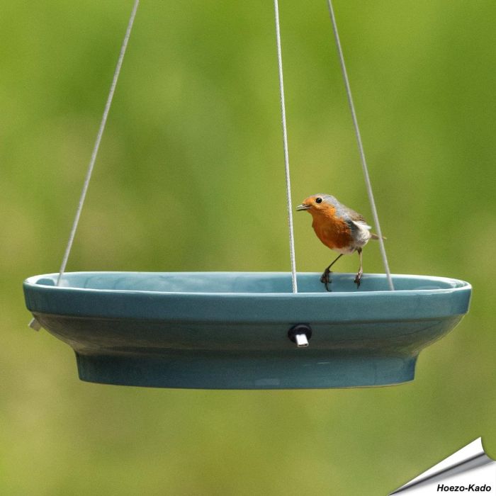 Hangende waterschaal voor vogels (blauw) - Live foto