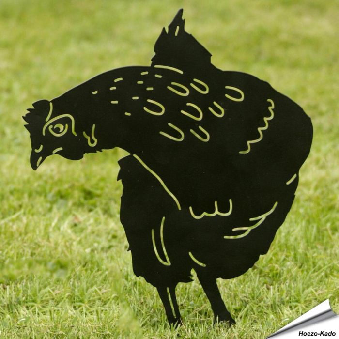 Silhouette Kip - Hen