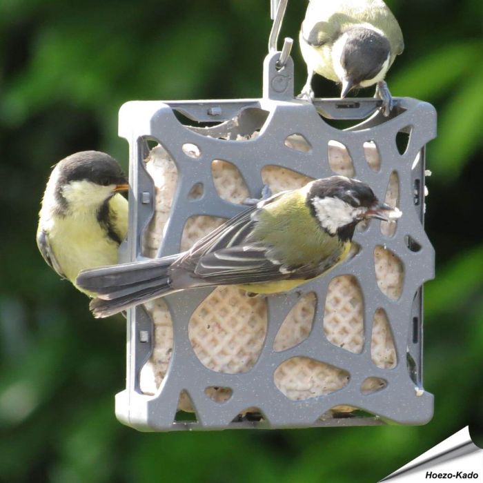 ANNA - Vetblokhouder hangend