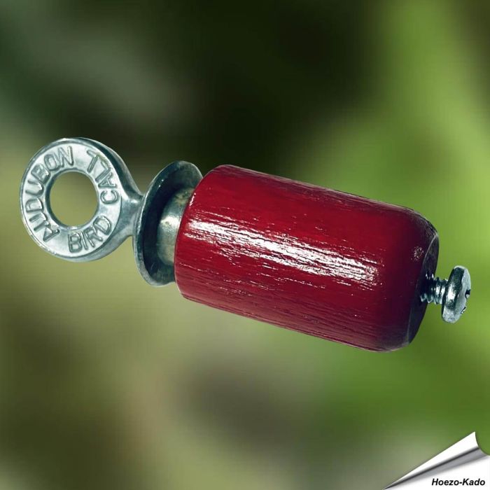 Ontdek de magie van vogelobservatie | Audubon Bird Call | Vogelhuisje.com