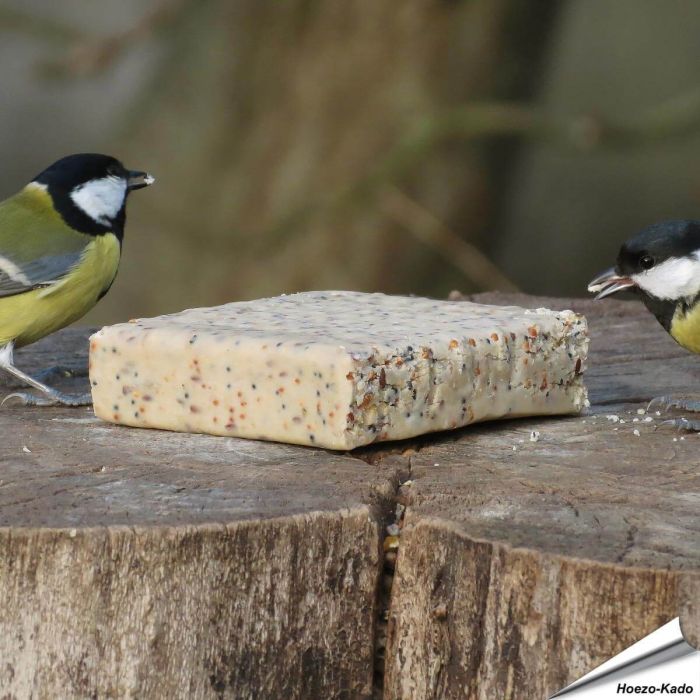 Energieblok / Vetblok met  Insecten voor vogels (280g)