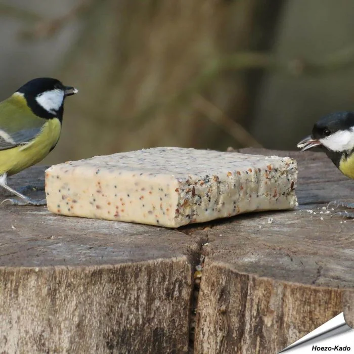 MultiPack XL - Energieblok met insecten (24 x 280g)