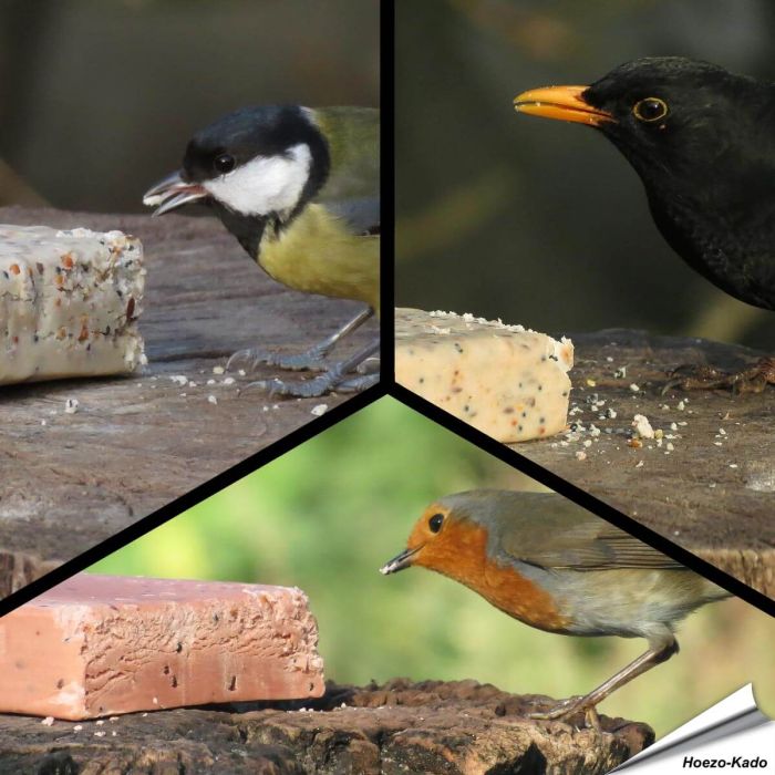 MIXPack XL - Energieblokken bessen, insecten en meelwormen (24 x 280g)