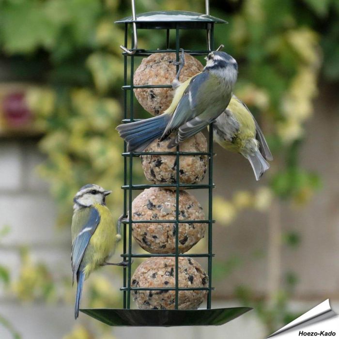 Premium vetbollenautomaat met opvangschaal