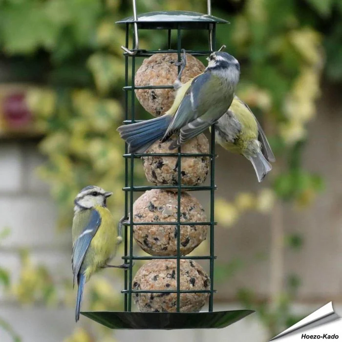 Premium vetbollenautomaat met opvangschaal