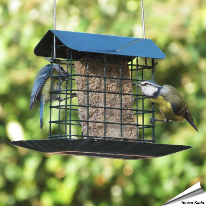 Premium vetblokhouder met regenkap en opvangschaal | Vogelhuisje.com