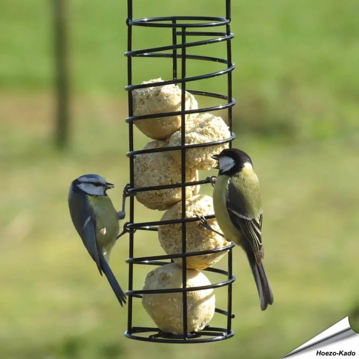 Robuuste vetbolhouder (zwart)