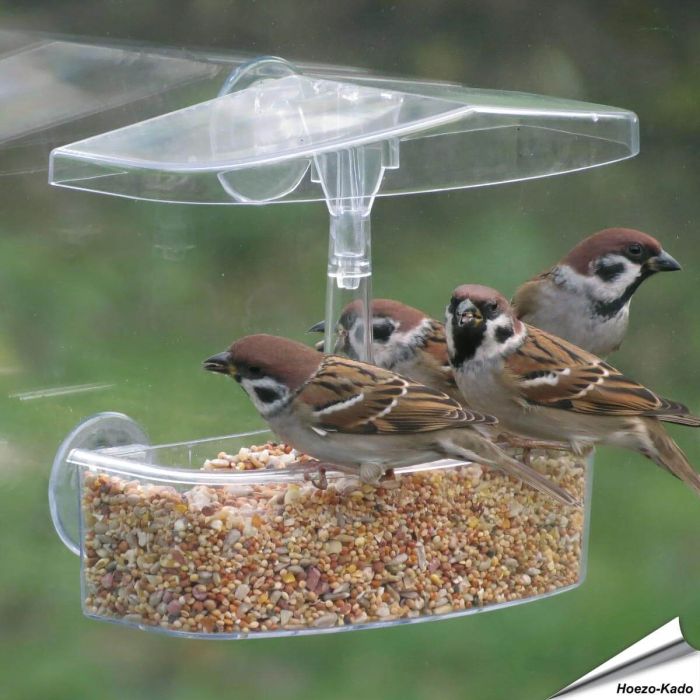 Raamvoederhuis OnLooker