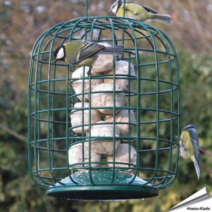 Vetbollenhouder XL met beschermkooi (groen)