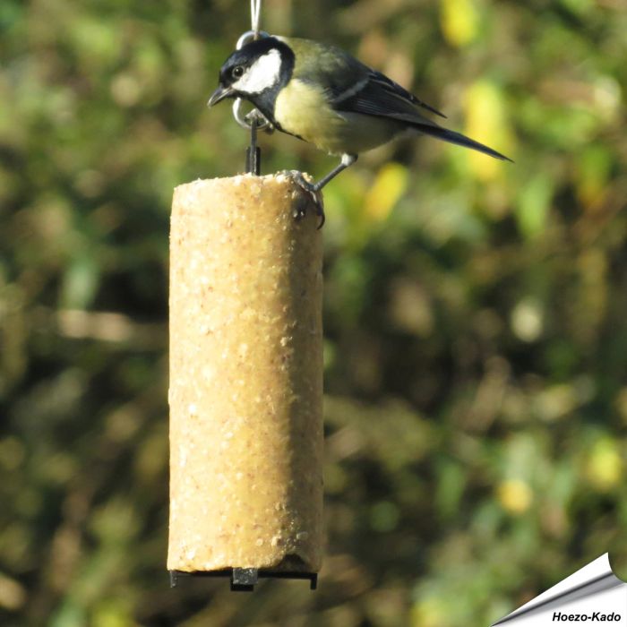 Aniculis - Vegan Vetcake met Pinda's