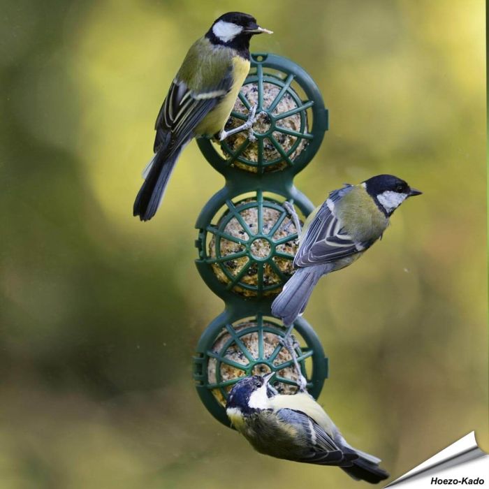 BasketBall - Raamfeeder voor vetbollen
