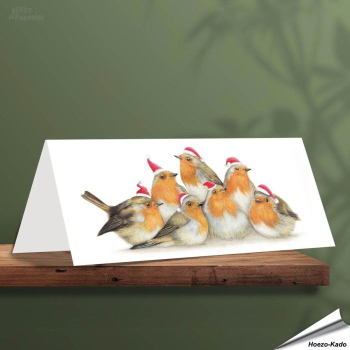 Kerstkaart met leuke Roodborstjes - Voor natuurliefhebbers - www.vogelhuisje.com
