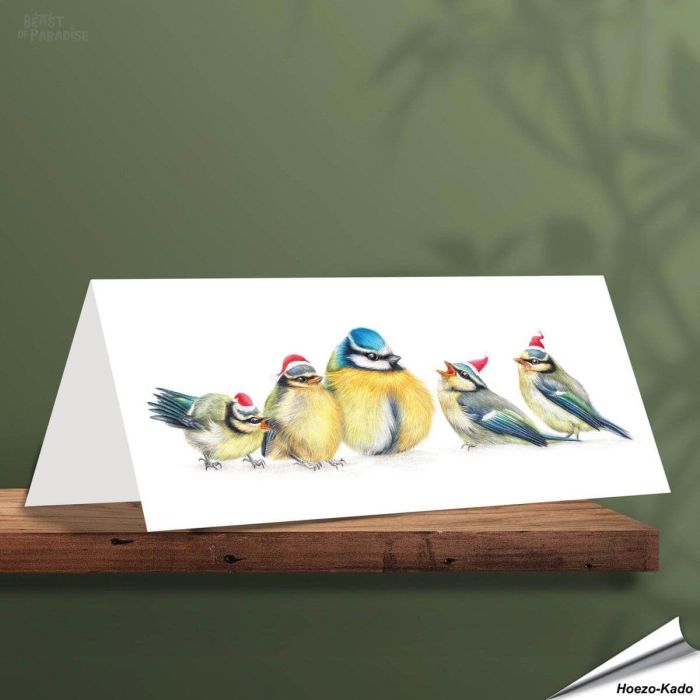 Kerstkaart met leuke pimpelmezen - Voor natuurliefhebbers - www.vogelhuisje.com