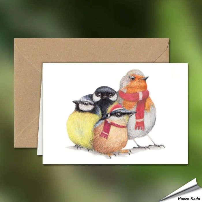 Kerstkaart met een leuke roodborst, pimpelmees, koolmees en boomklever - Vogelhuisje.com