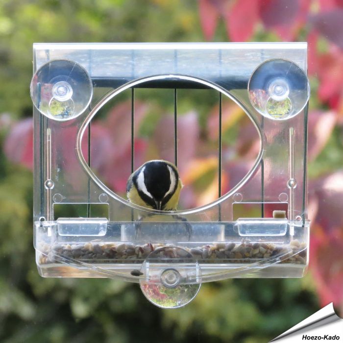 Raamvoederhuis Bolmso Birdfeeder met beschermkooi ✔️ Compleet doorzichtig, goed zicht op de vogels ✔️ Zonder gereedschap te monteren ➤ Bestel nu op Vogelhuisje.com