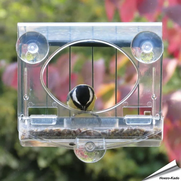 Raamvoederhuis Bolmso Birdfeeder met beschermkooi ✔️ Compleet doorzichtig, goed zicht op de vogels ✔️ Zonder gereedschap te monteren ➤ Bestel nu op Vogelhuisje.com