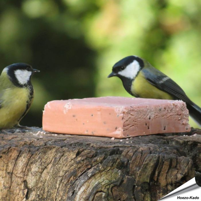 Koolmezen op de Energieblok met bessen (280g)
