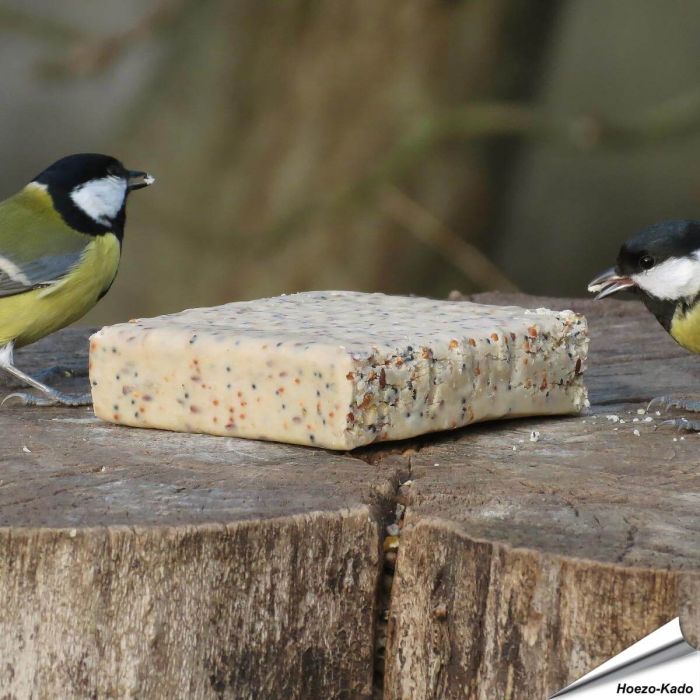 MultiPack - Energieblok met insecten (12 x 280g)
