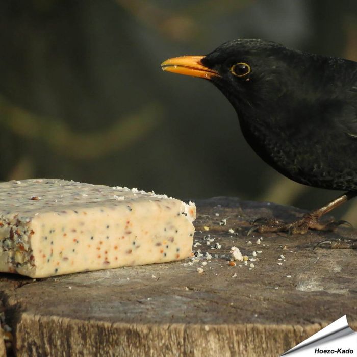 Energieblok met Meelwormen voor tuinvogels