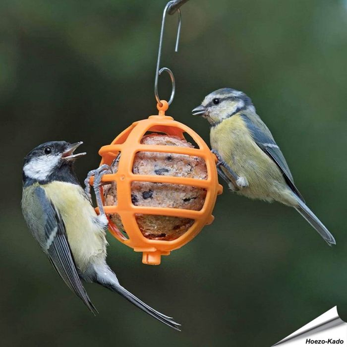 Vrolijke vetbolhouder voor tuinvogels ✔️ Gemaakt van duurzaam kunststof ✔️ Eenvoudig op te hangen & schoon te maken ➤ Bestel op Vogelhuisje.com