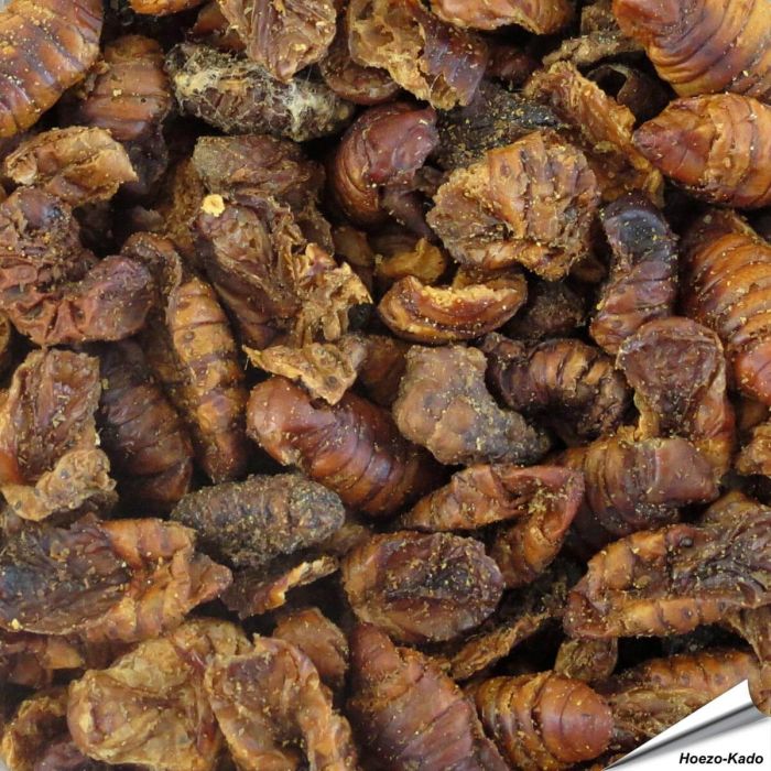 Gedroogde zijderupsen voor dieren ✔️ Aanvullend voer voor wilde vogels, kippen, vissen, schildpadden en meer ✔️ Extreem eiwitrijk ➤ Bestel nu online op Vogelhuisje.com