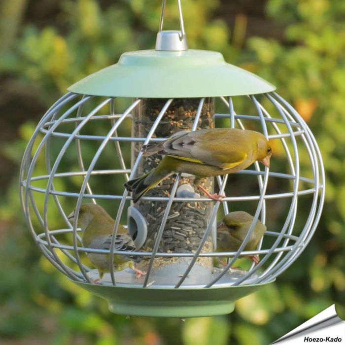 Helix voedersilo voor zaden met beschermkooi | groen | Vogelhuisje.com