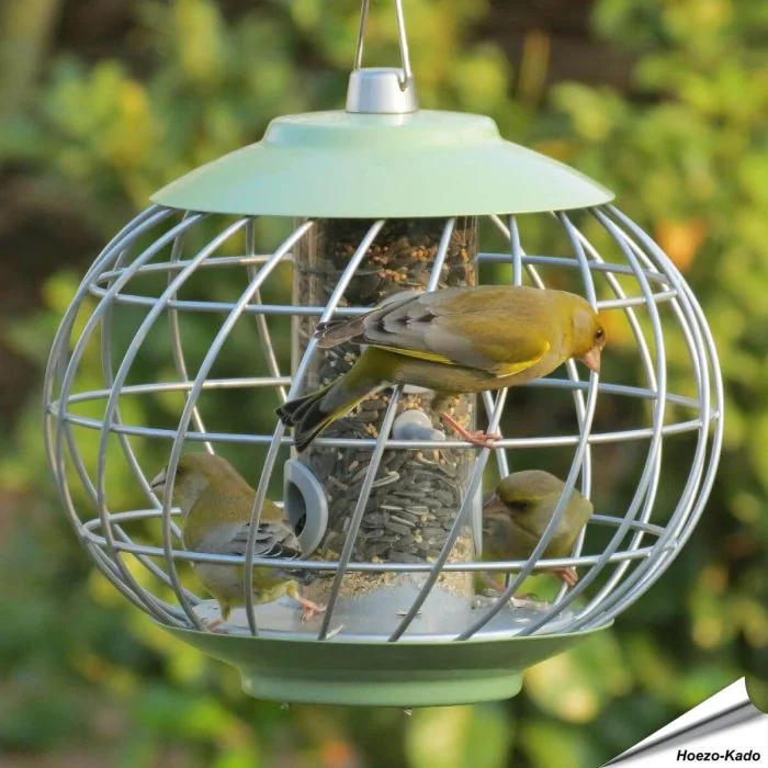 Helix voedersilo voor zaden met beschermkooi | groen | Vogelhuisje.com