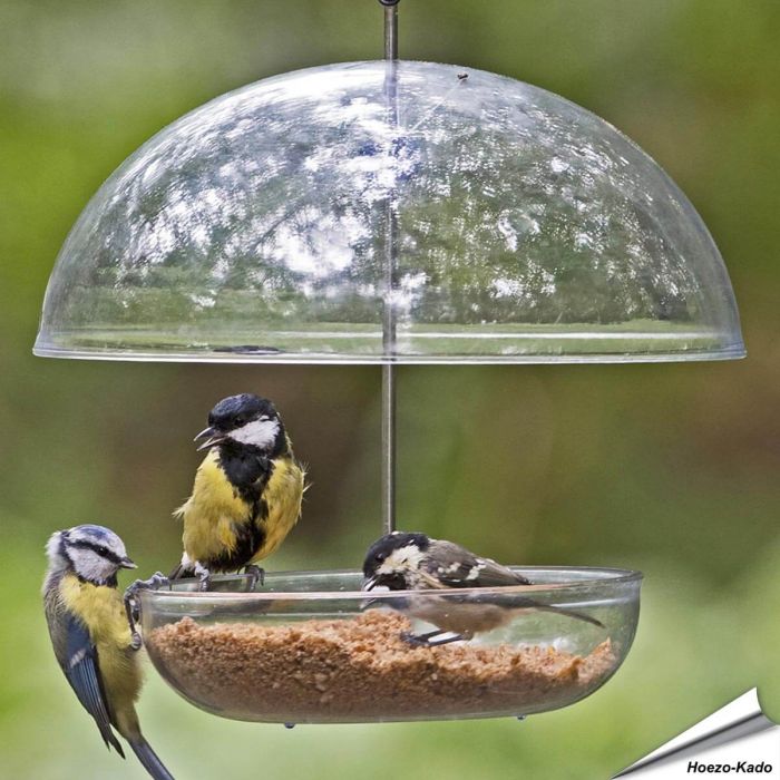 I love Robins - Feeder - Hangende voedertafel