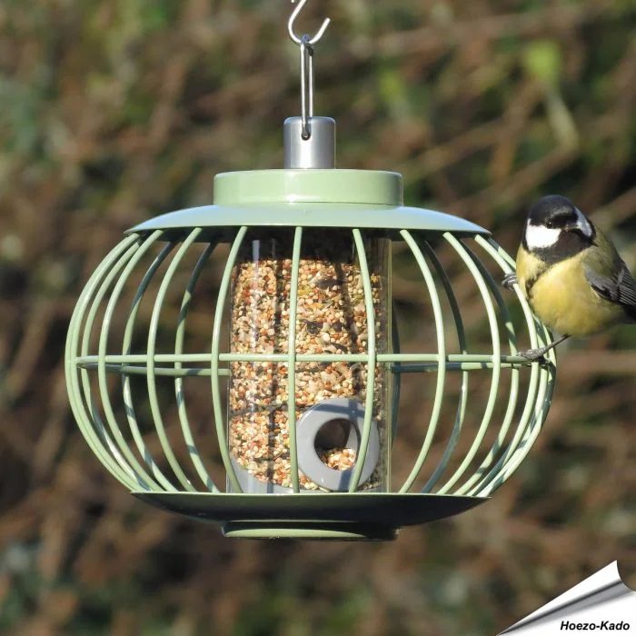Voederlantaarn voor zaden met beschermkooi | groen | Vogelhuisje.com