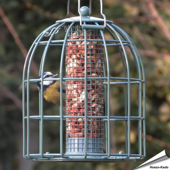 Compact voedersilo voor pinda's met beschermkooi | groen | Vogelhuisje.com