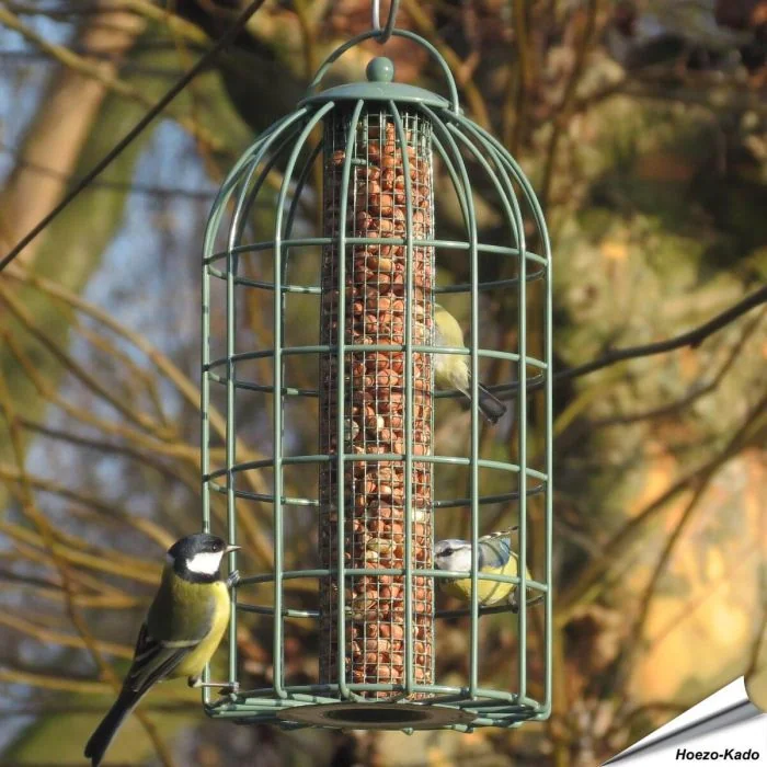 Zorg ervoor dat je vogels altijd genoeg te eten hebben met ons Voedersilo met beschermkooi voor pinda's!