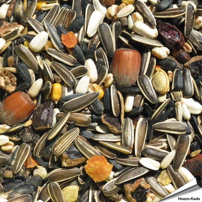 Premium Eekhoorn voer - Puur plantaardig (1 kg)