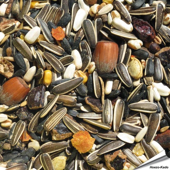 Aniculis Premium Eekhoorn voer voor wilde en gedomesticeerde eekhoorns ✔️ Met extra waardevolle vitamines en mineralen ✔️ Rijke, volledig plantaardige samenstelling ➤ Bestel nu op www.vogelhuisje.com