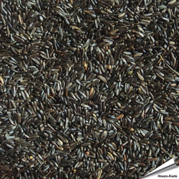 Nigerzaad (Negerzaad, Nyjer) voor vogels ✔️ Voor tuinvogels, exotische vogels, parkieten en kanaries ✔️ Natuurlijke bron van eiwitten en vetten ✔️ Bestel nu direct op Vogelhuisje.com