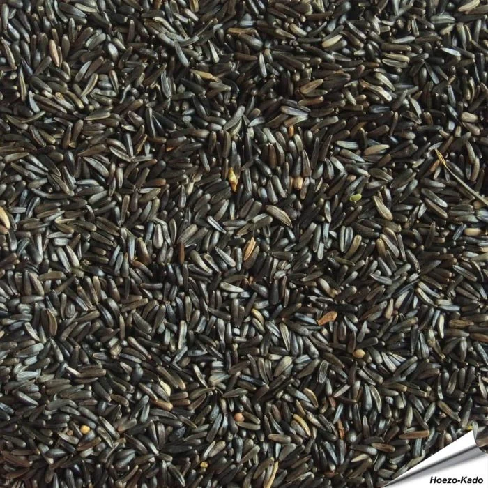 Nigerzaad (Negerzaad, Nyjer) voor vogels ✔️ Voor tuinvogels, exotische vogels, parkieten en kanaries ✔️ Natuurlijke bron van eiwitten en vetten ✔️ Bestel nu direct op Vogelhuisje.com