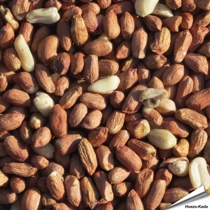 Premium pinda's voor tuinvogels - www.hoezo-kado.nl