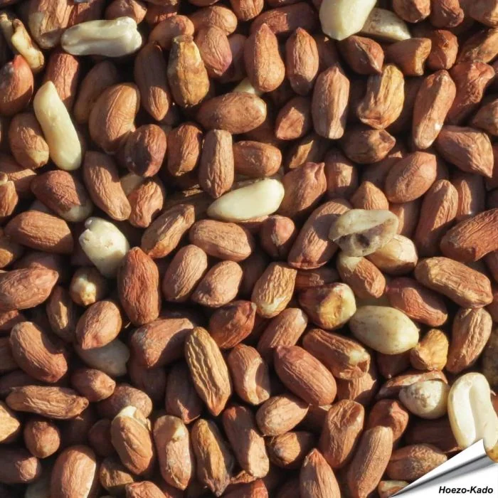 Premium pinda's (12.75 kg)