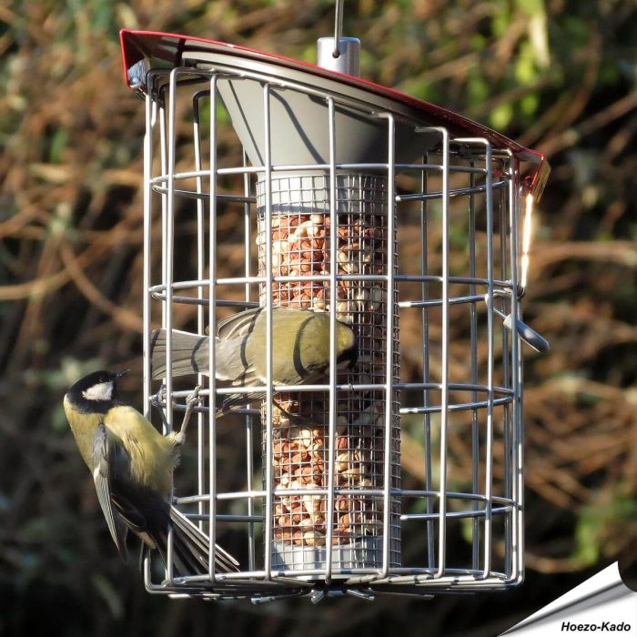 Voedersilo Roundhaus - pinda's (rood)