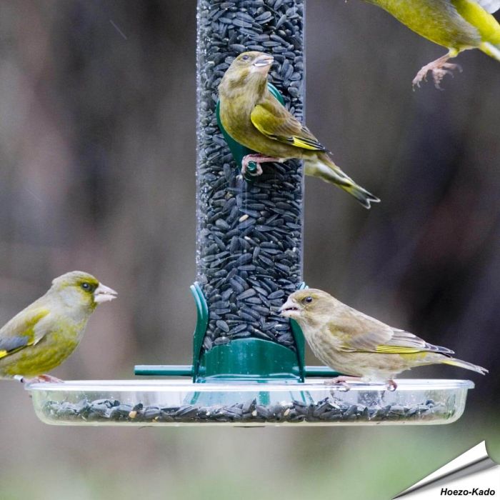 Ring-Pull - Opvangschaal (215mm)