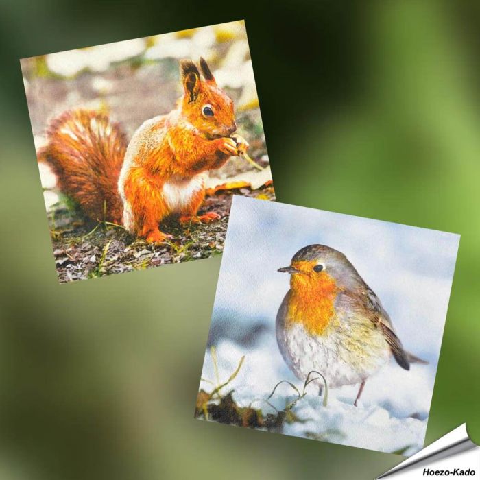 Servetten - Roodborst - Eekhoorn (20 stuks)