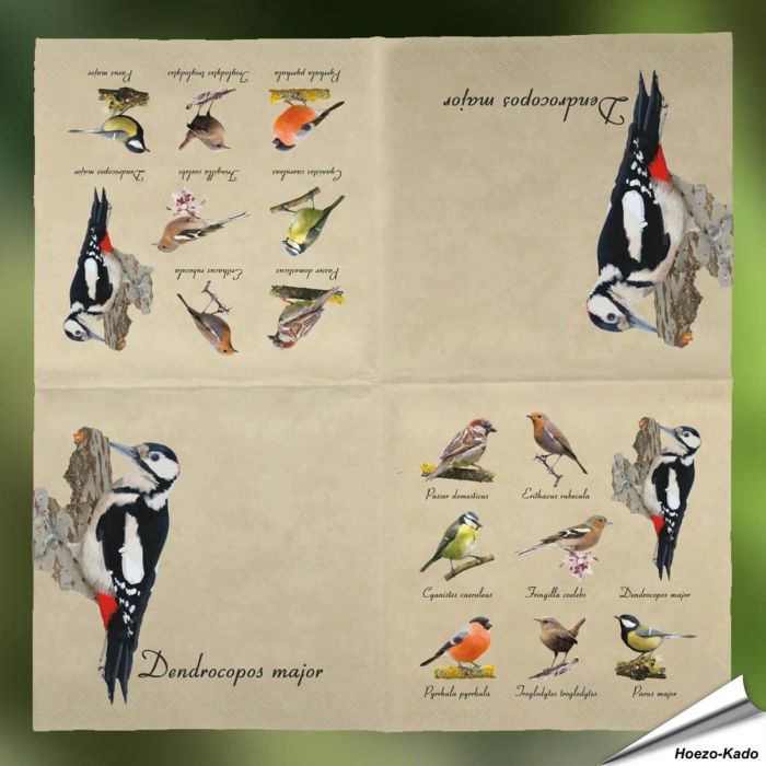 Stijlvolle servetten met vogelprint van Esschert Design ✔️ FSC-papier, 3-laags, biologisch afbreekbaar ✔️ Perfect voor elke tafelsetting ➤ Bestel nu op www.hoezo-kado.nl
