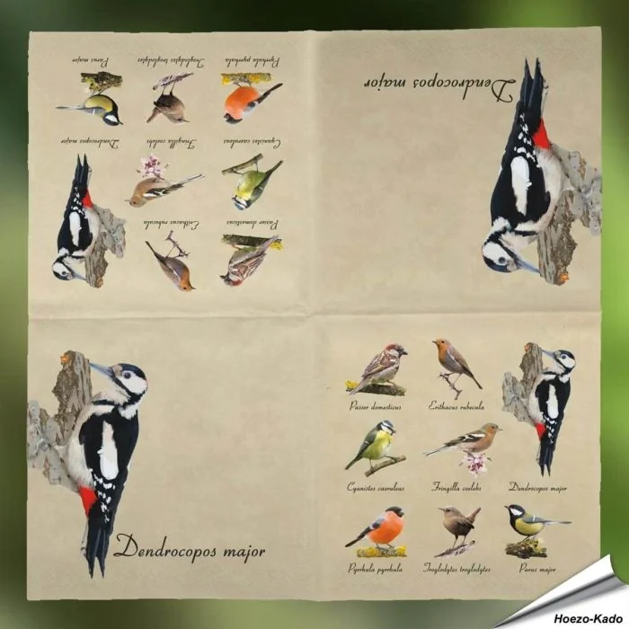 Stijlvolle servetten met vogelprint van Esschert Design ✔️ FSC-papier, 3-laags, biologisch afbreekbaar ✔️ Perfect voor elke tafelsetting ➤ Bestel nu op www.hoezo-kado.nl
