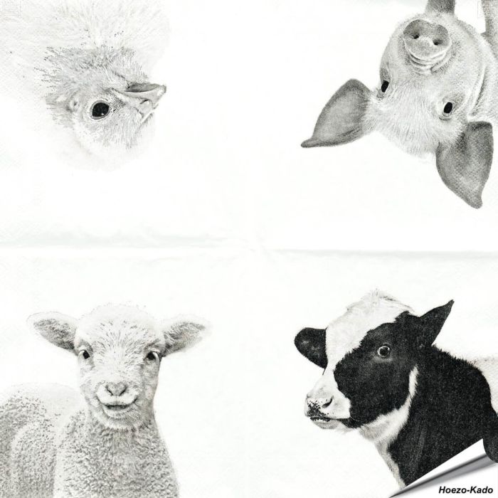 Stijlvolle servetten met koe, varken, schaap en kuiken van Esschert Design ✔️ FSC-papier, 3-laags, biologisch afbreekbaar ✔️ Perfect voor elke tafelsetting ➤ Bestel bij Vogelhuisje.com